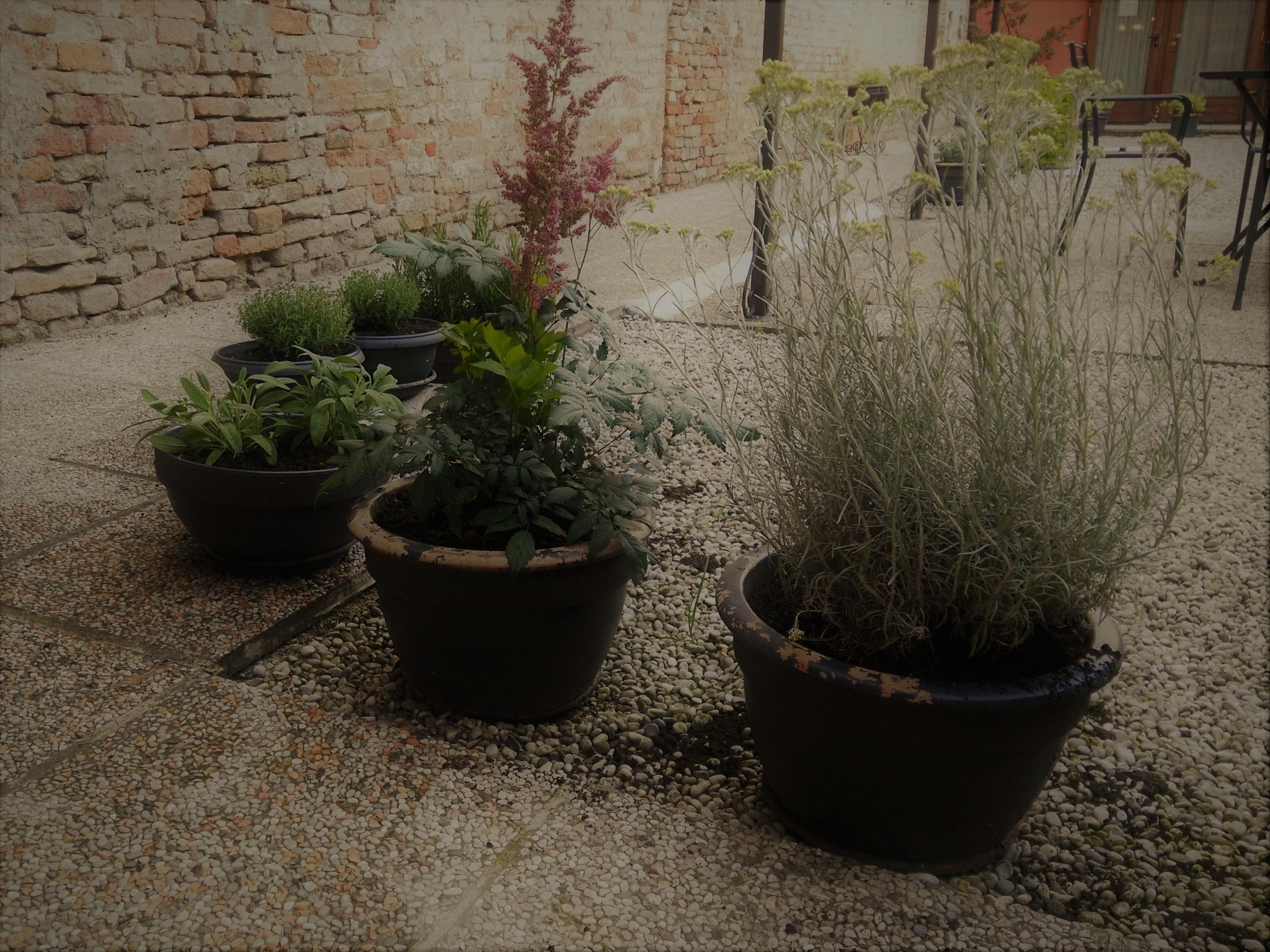 Relais Alcova Del Doge Hotel Mira Bagian luar foto