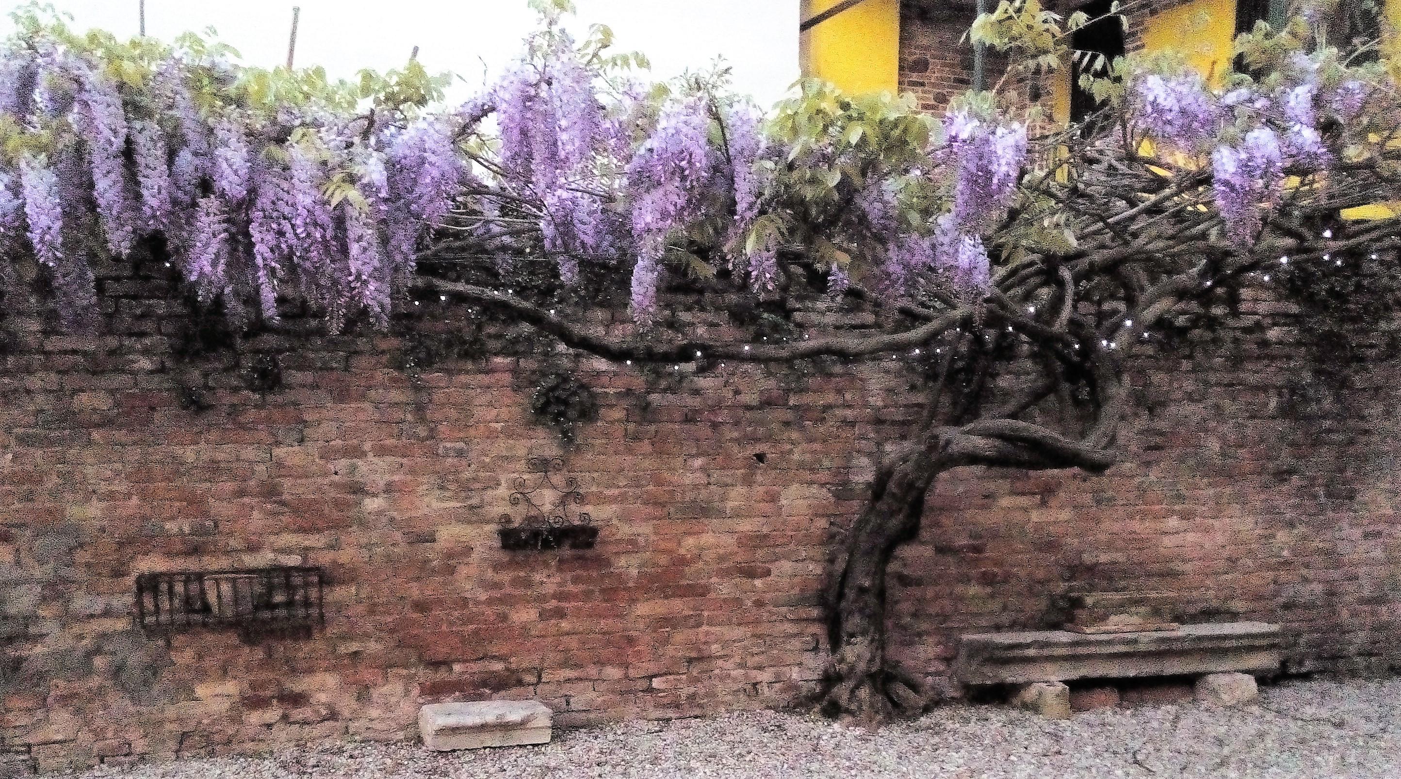 Relais Alcova Del Doge Hotel Mira Bagian luar foto
