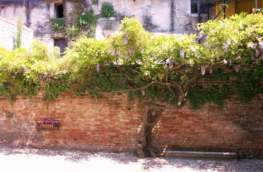 Relais Alcova Del Doge Hotel Mira Bagian luar foto